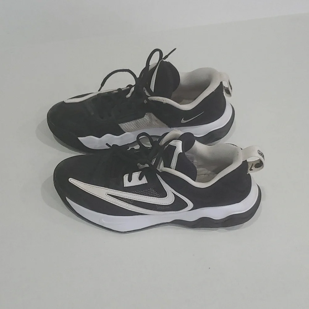 Nike Giannis Immortality 3 Basketball Shoes Black/White DZ7533 003 👟